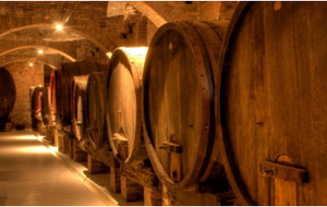 Reprise de l'activité Œnologie