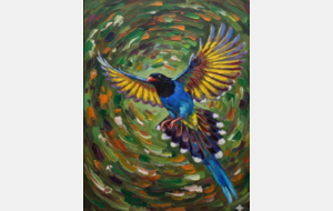 Projet Photographie - Arts Plastique - PAP