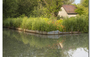 Marais de Bourges